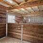 Pferdestall bauen - Außenbox, Pferdebox & Offenstall kaufen und Pferdeunterstand, Weideunterstand | Weidehütte direkt vom Hersteller - Bild 60
