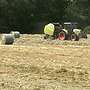Heu, Wiesenheu, Pferdeheu und Bioheu - Bild 3