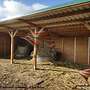 Aussenbox & Pferdestall bauen Top - Pferdebox, Offenstall, Weidehütten & Pferdeunterstand | Stallungen, Futterraufen & Heuraufe - Bild 7