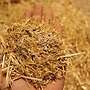 STROH & STROH Pellets in bester Qualität mit Lieferung! - Bild 3