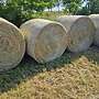Heu, Rundballen, Quaderballen, HD-Ballen ("Kleine Ballen") - Bild 2