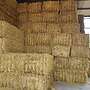 Heu - Siloballen - Stroh - Luzerne - Heusilage - Bild 6