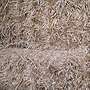 Strohballen zu verkaufen  - Bild 3