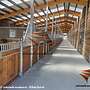 Außenbox, Pferdestallbau | Pferdestall & Weideunterstand - Top Pferdebox | Stallungen und Futterraufe | Heuraufe für den perfekten Pferdehof - Bild 2