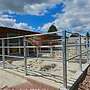 Aussenbox & Pferdestall bauen Top - Pferdebox, Offenstall, Weidehütten & Pferdeunterstand | Stallungen, Futterraufen & Heuraufe - Bild 57