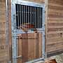 Pferdebox & Innenbox - Stallboxen, Trennwände und Frontwände | Boxenstall kaufen - Bild 23