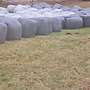 Heu und Anwelksilage Rundballen scheunengelagert zu verkaufen - Bild 2