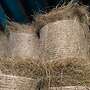 Verkaufe Heu in Minirundballen ca. 60 x 60 cm - Bild 3