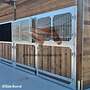 Aussenbox & Pferdestall bauen - Offenstall kaufen, Pferdebox und Weidehütte, Heuraufe & optimale Pferdefütterung für den perfekten Pferdeunterstand | TOP Pferdehof - Bild 28