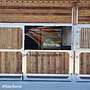 Stallbau - Außenbox | Pferdebox und Offenstall & Weidehütten, Laufstall für Pferde Top Futterraufe & Heuraufe für den perfekten Pferdehof - Bild 28
