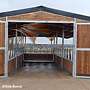 Pferdestall bauen | Stallbau Top - Außenbox, Pferdebox, Offenstall, Weidehütte & Heuraufe jetzt kaufen! - Bild 59