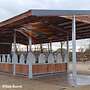 Pferdestall bauen | Stallbau Top - Außenbox, Pferdebox, Offenstall, Weidehütte & Heuraufe jetzt kaufen! - Bild 60