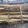 Weidepfähle,Eichenpfähle,Eichenspaltpfähle,Koppelpfähle - Bild 4