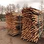 Weidepfähle,Eichenpfähle,Eichenspaltpfähle,Koppelpfähle - Bild 2