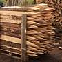 Weidepfähle,Eichenpfähle,Eichenspaltpfähle,Koppelpfähle - Bild 3