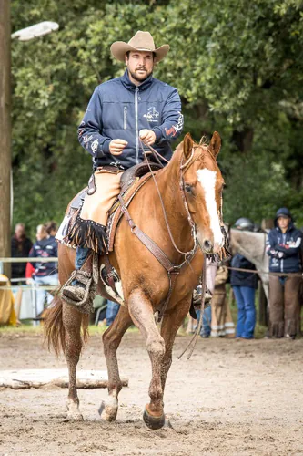 Profilbild von Jannik Hinz