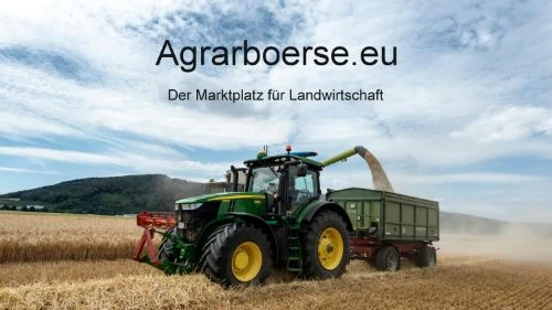 Profilbild von Willfried Hamster