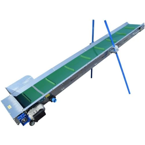 Profilbild von Petra Tomasova