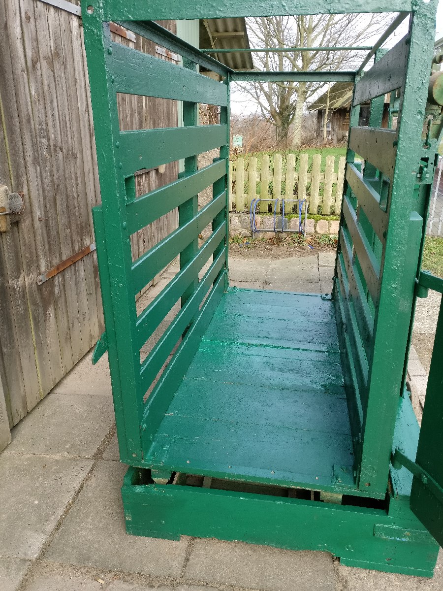 Image 2