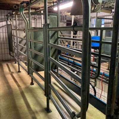 5 Boxen Tandemmelkstand Alfa Laval