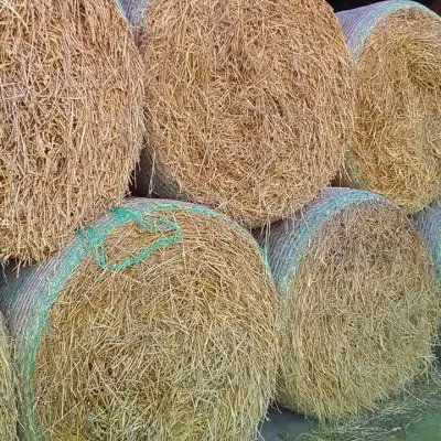 Heuballen Compense  aus 2019 und 2020
