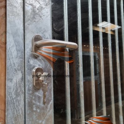 Image 28