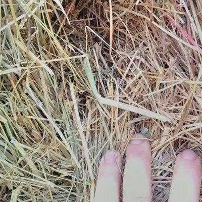 Image 14