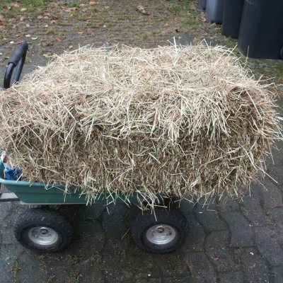 Heu 1. Schnitt 2024 kleine HD Ballen