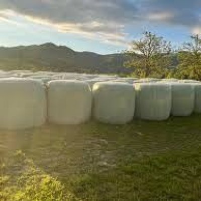 Silage Ballen 2023