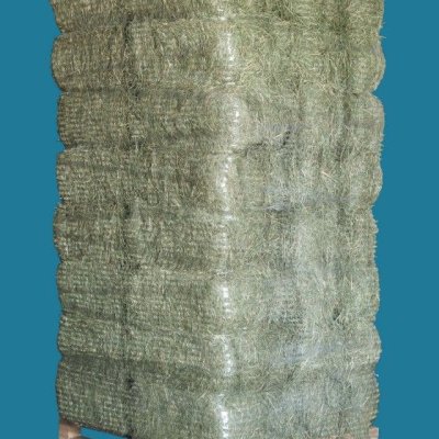 Image 16