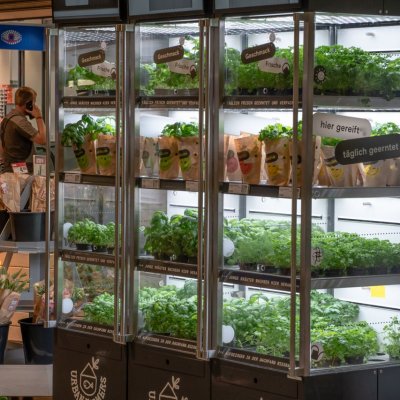Vertikale hydroponische Anzuchtschränke