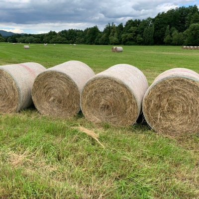 Bio-Heuballen und Bio-Silageballen
