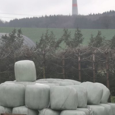 Schaferei 