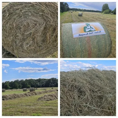 Heu Rundballen Ernte 2025