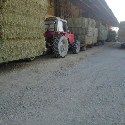 Produzent von Heubündel von La Crau, Sud Frankreich