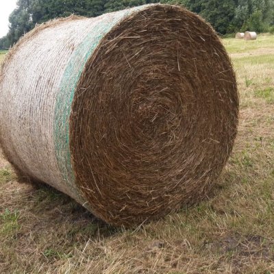 Heu-Rundballen DM 1,50m - Erstschnitt 08/2024 - Extensive Nutzung