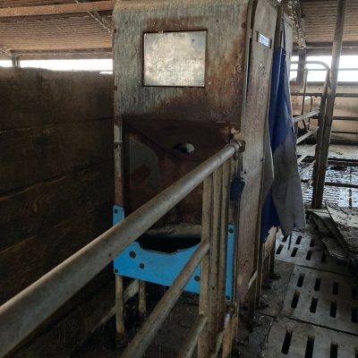 Image 10