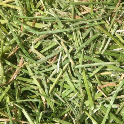 Image 23