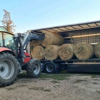 Heuballen aus Polen