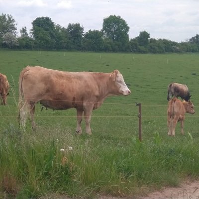 Herde bio zertifiziert ab 1.1.2024 
