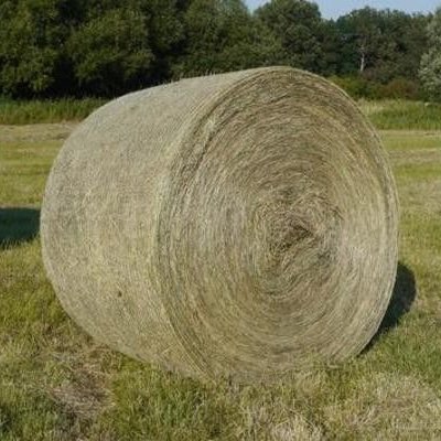 Heu und Anwelksilage Rundballen scheunengelagert zu verkaufen