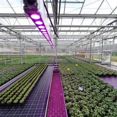 Philips GreenPower LED top light Module DR/B HB 400v