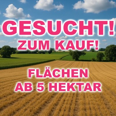 Kaufe Flächen ab ca. 5 Hektar in Niedersachsen – direkter Ankauf für Solarprojekt