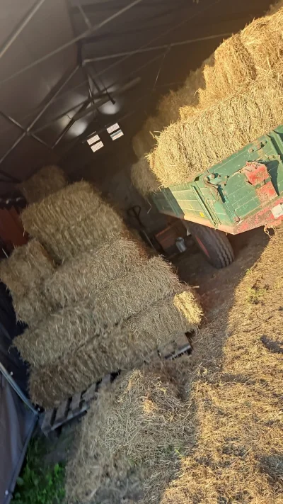 Heu HD Ballem 1. Schnitt 2025 August JKK Frei ca. 100Ballen