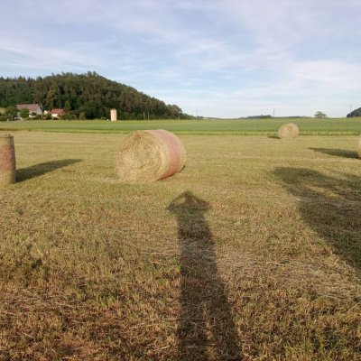 Heuballen Bio, Pferdeheu