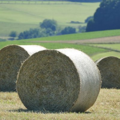 Neue Ernte 2023 - Pferdeheu / Heu - Rundballen