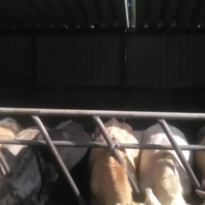 Image 8