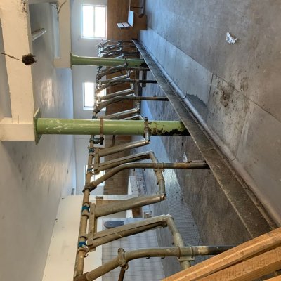  Aufstallung, Selbstfanggitter