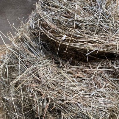 Pferde heu, Kleegras heu, Silage aus 2022 in Demeter Qualität