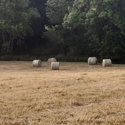 Rundballen